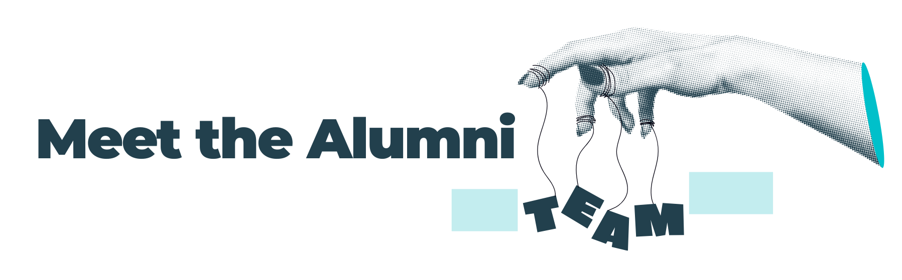 Meet the Alumni